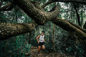 BIB: 
                            <button type="button" onclick="openModal(25664079)" class="btn btn-primary btn-sm float-right btn-popup" data-toggle="modal" data-target=".modal-high-quality">
                        <i class="fas fa-shopping-cart"></i> Add to Cart
                    </button>
                                            <button type="button" onclick="isThisMe(25664079, true)" class="btn btn-success btn-sm float-right btn-popup btn-isme hidden" data-toggle="tooltip" data-placement="bottom" title="นี่คือรูปของคุณใช่ไหม คลิกที่นี่เพื่อเอาเข้าอัลบั้ม">
                        <i class="fas fa-plus"></i> Add to album
                    </button>
                    <button type="button" onclick="isThisMe(25664079, false)" class="btn btn-warning btn-sm float-right btn-popup btn-isnotme hidden">
                        <i class="fas fa-ban"></i> Remove from album
                    </button>